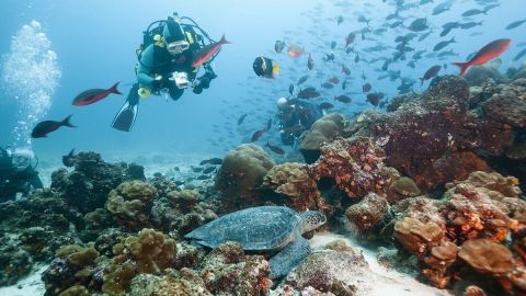 The best diving spots in the world