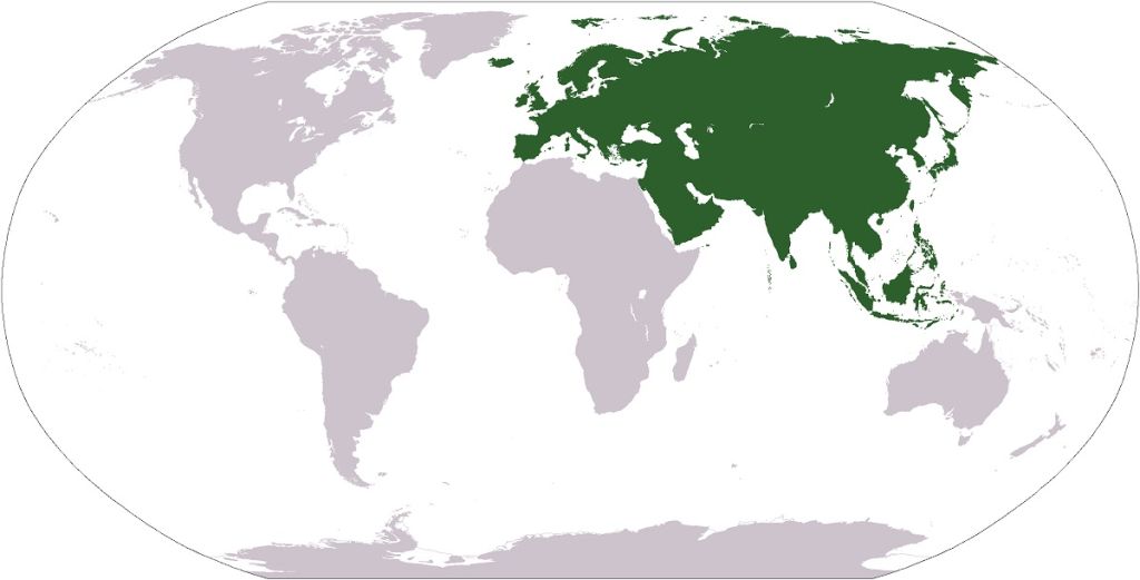 اوراسیا کجاست؟ نقشه کشورهای اوراسیا، اطلاعات کامل و کاربردی درباره این منطقه